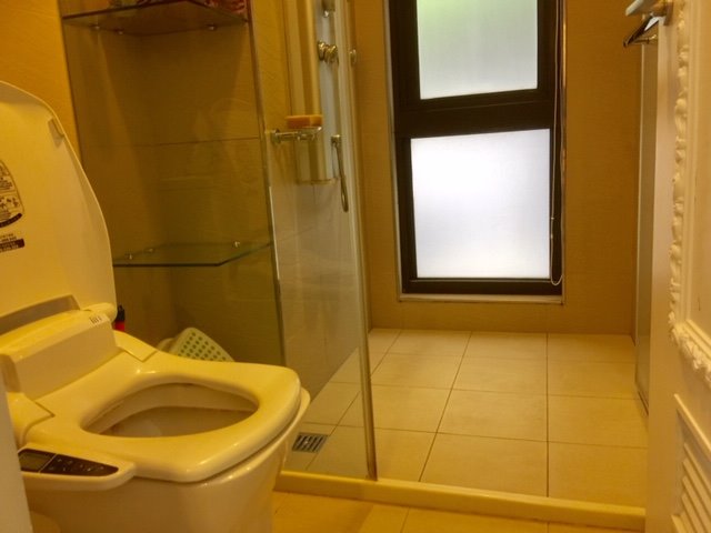 Jinzhou St. 1LDK+Den